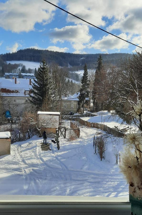 Orlicka Apartament Duszniki Zdrój Eksteriør bilde
